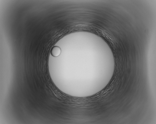 X0000116450868200912081412