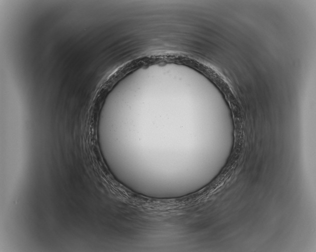 X0000116450871200912081412