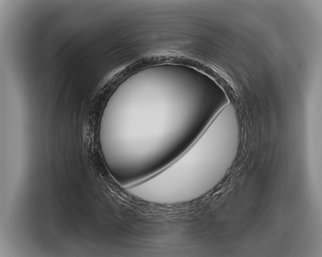 X0000116450872200912081412