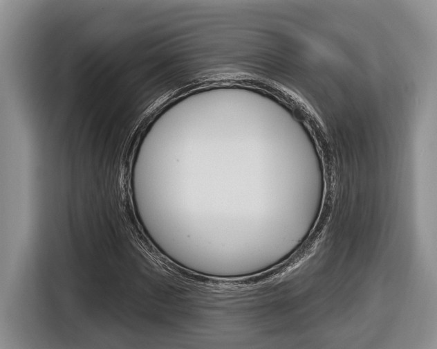 X0000116450873200912081412