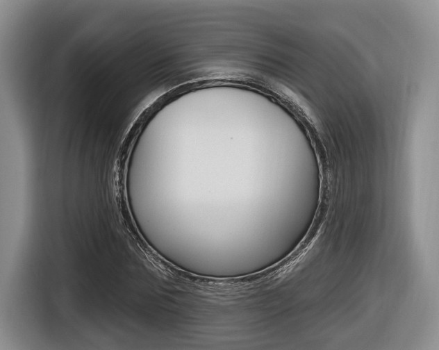 X0000116450875200912081412