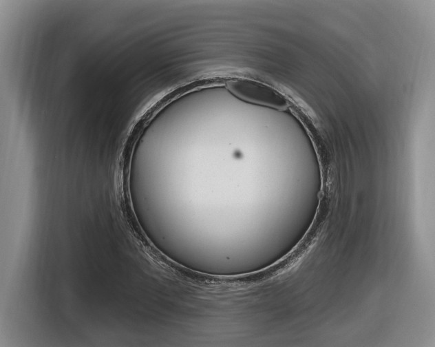 X0000116450877200912081412