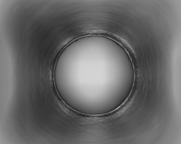 X0000116450881200912081412