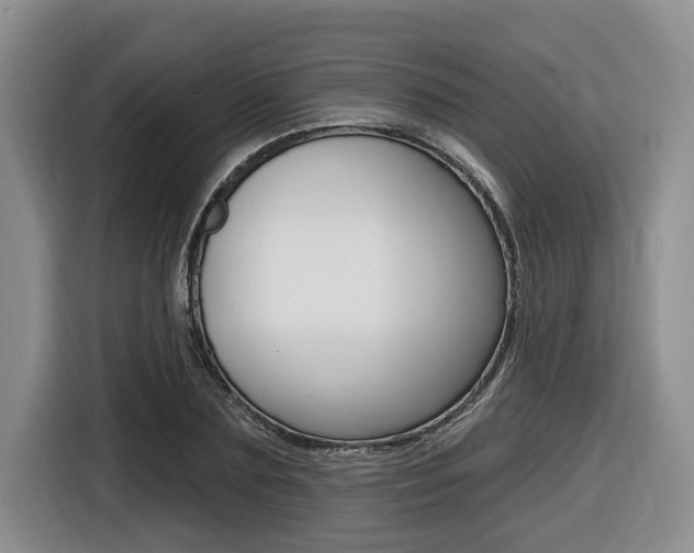 X0000116450883200912081412