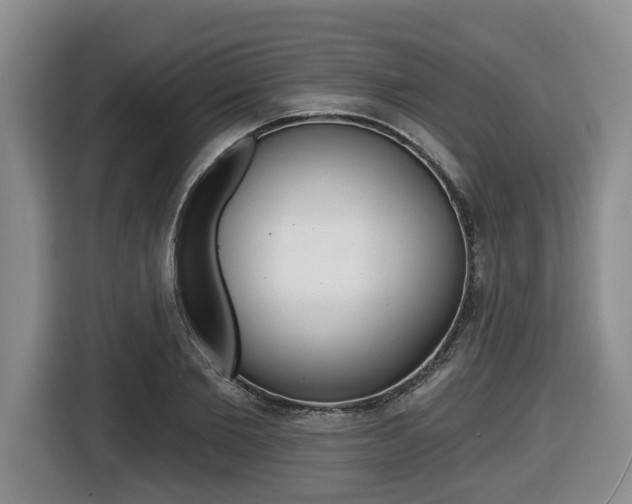 X0000116450885200912081412