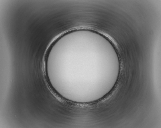 X0000116450886200912081412