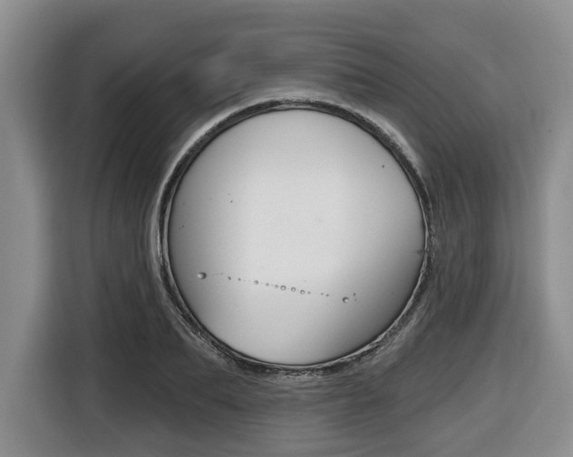 X0000116450887200912081412