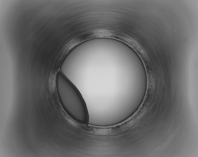 X0000116450889200912081412