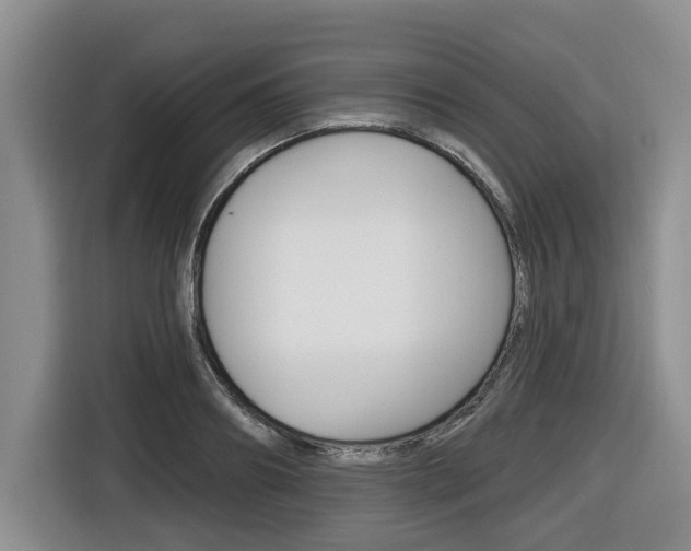 X0000116450890200912081412