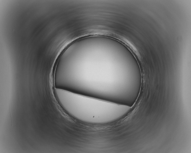 X0000116450891200912081412
