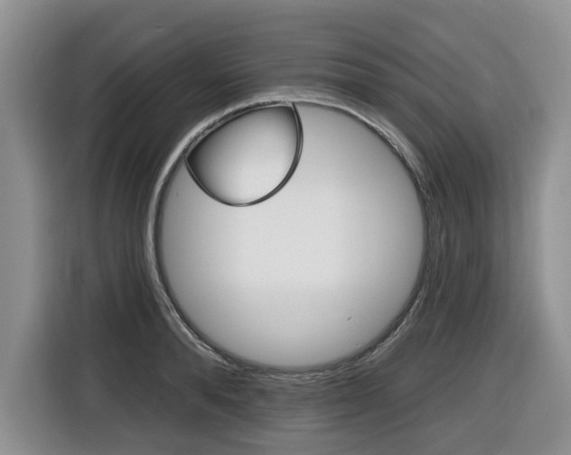 X0000116450896200912081412