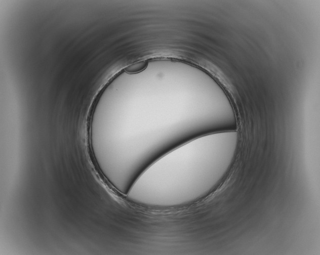 X0000116450898200912081412
