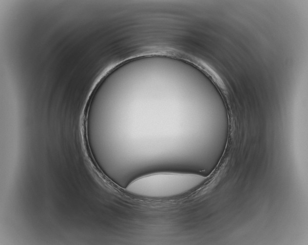 X0000116450899200912081411