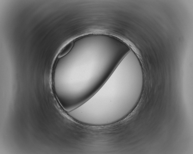 X0000116450904200912081411