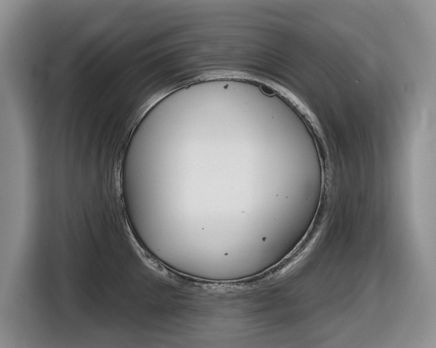 X0000116450905200912081411