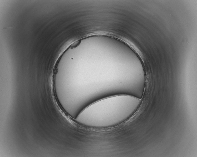 X0000116450906200912081411
