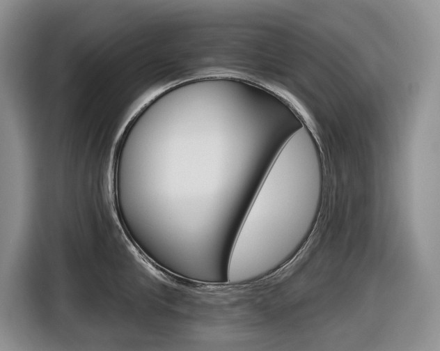 X0000116450910200912081411