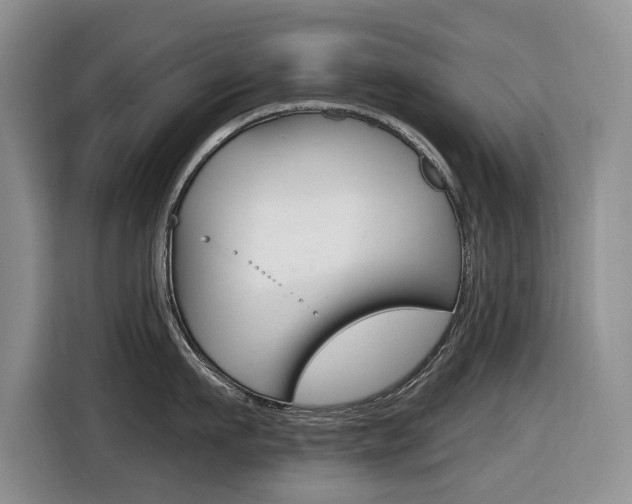 X0000116450911200912081411