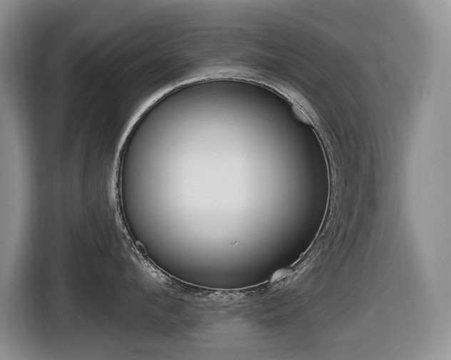 X0000116450912200912081411