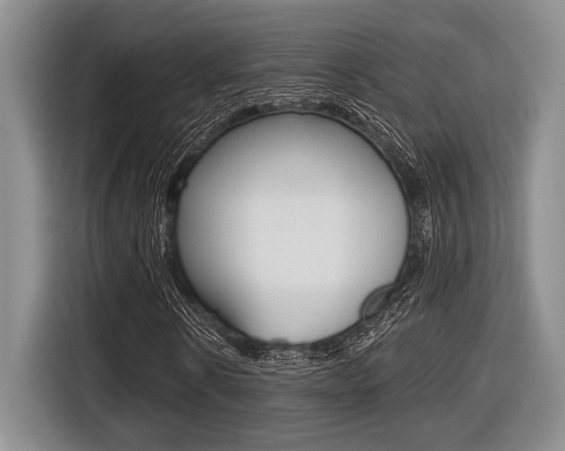 X0000116450914200912081411