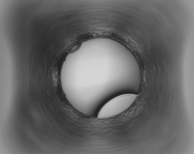 X0000116450915200912081411