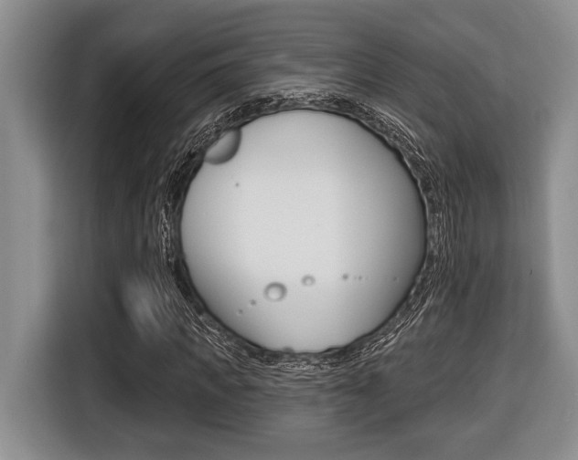 X0000116450917200912081411