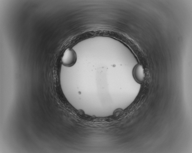 X0000116450918200912081411
