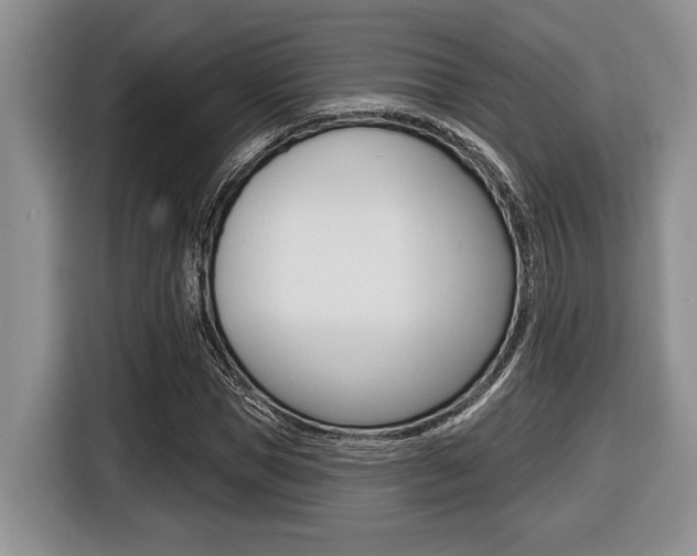 X0000116450921200912081411