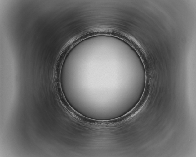 X0000116450922200912081411