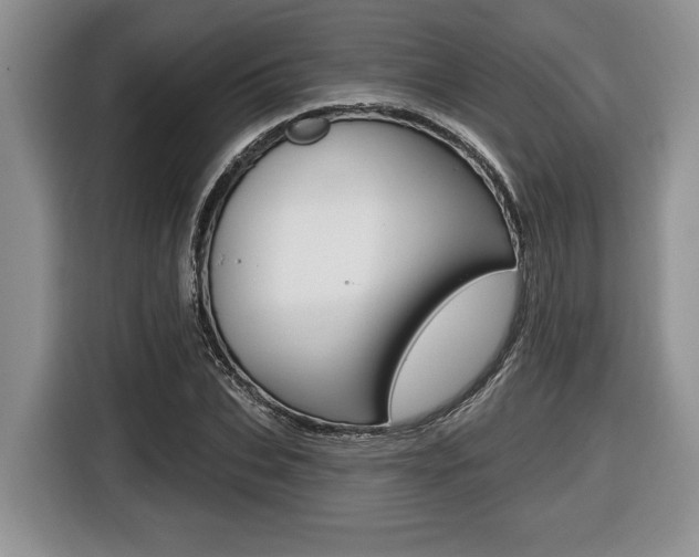 X0000116450927200912081411