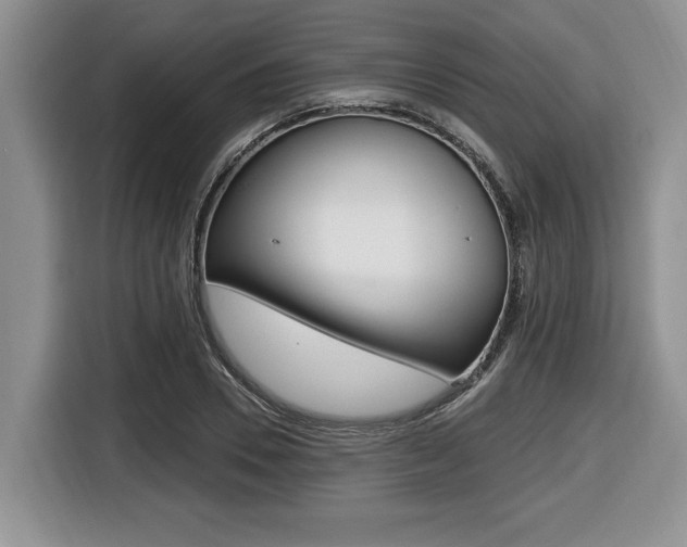 X0000116450930200912081411