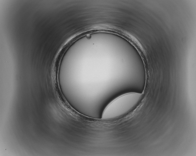 X0000116450931200912081411