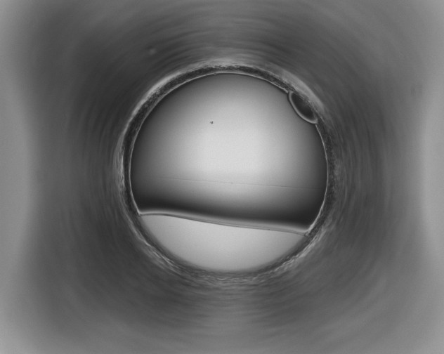 X0000116450934200912081411