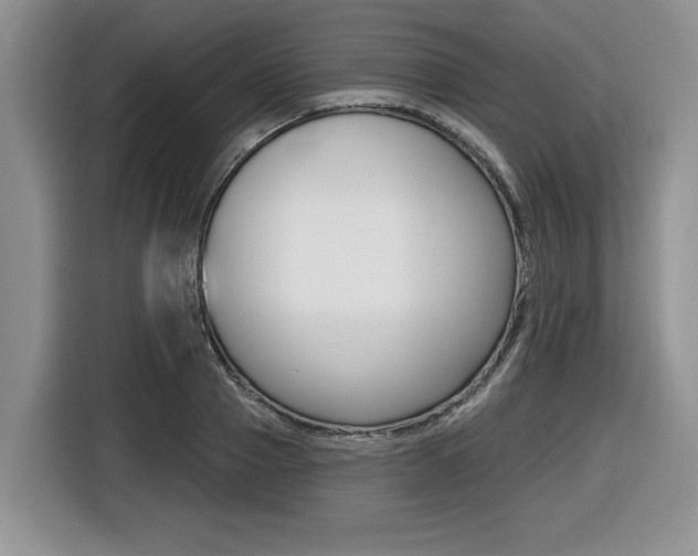 X0000116450937200912081411
