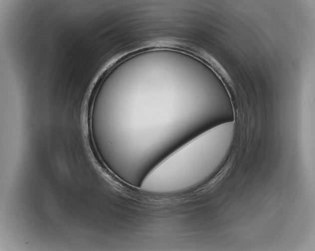 X0000116450939200912081411