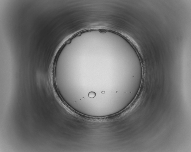X0000116450941200912081411