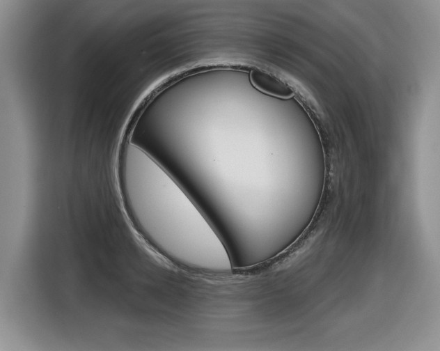 X0000116450942200912081411