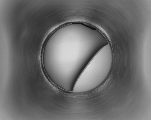 X0000116450943200912081411