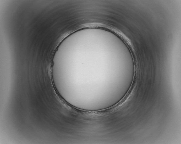 X0000116450945200912081411