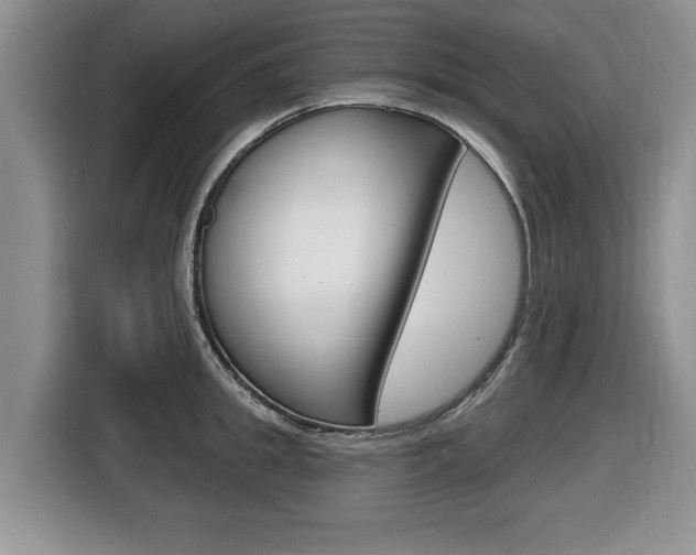 X0000116450949200912081411