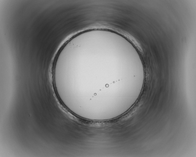 X0000116450950200912081411