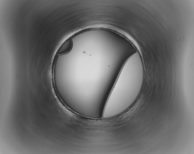 X0000116450951200912081411