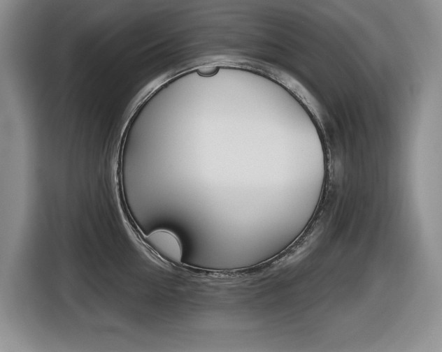 X0000116450954200912081411