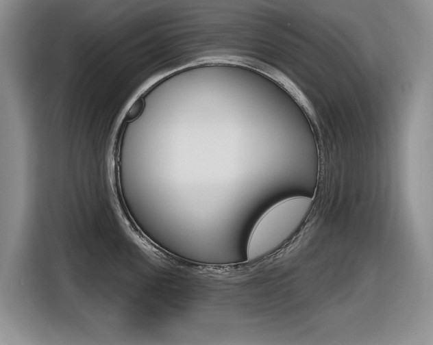 X0000116450955200912081411