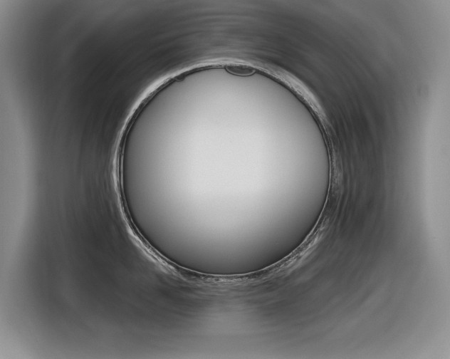 X0000116450958200912081411