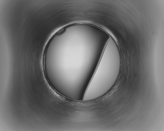 X0000116450959200912081411