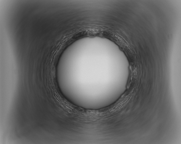 X0000116450961200912081411