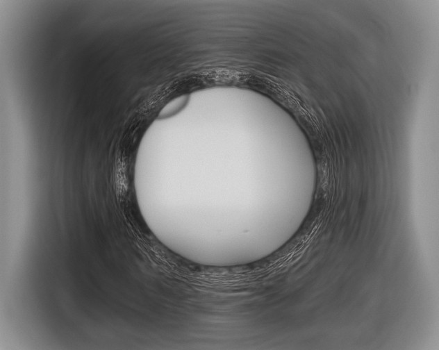X0000116450962200912081411
