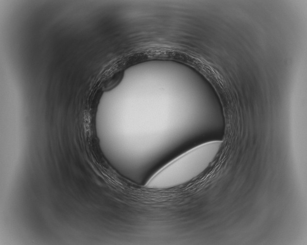 X0000116450964200912081411