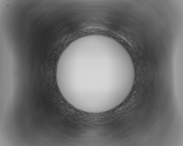 X0000116450965200912081411